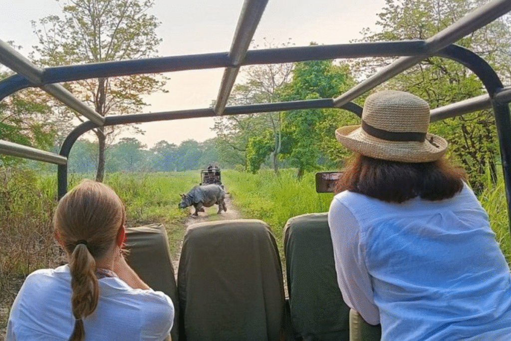 Jungle safari in Chitwan and spotted Rhino on the way